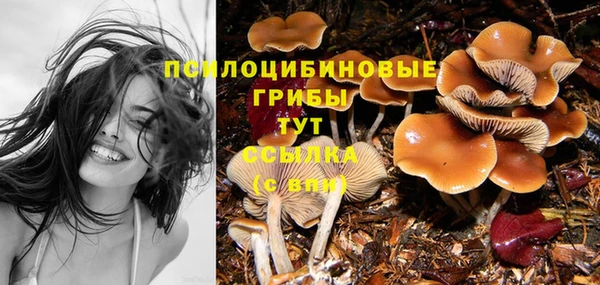 mdma Елабуга