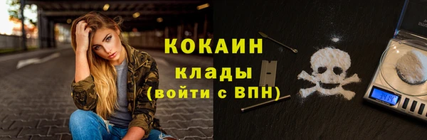 гидра Елизово