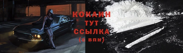 гидра Елизово
