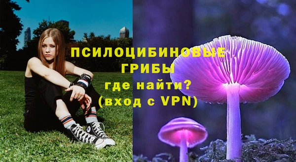 гидропоника Ельня
