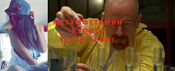 гидра Елизово