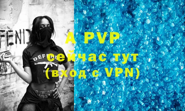 гидра Елизово