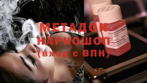 гидра Елизово