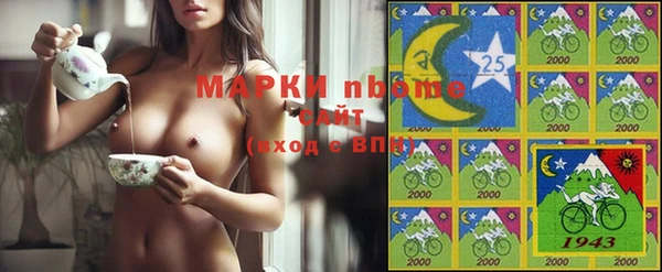гидра Елизово