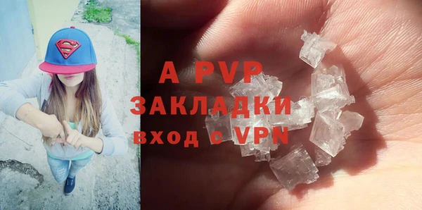 гидра Елизово