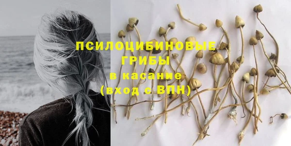 гидра Елизово
