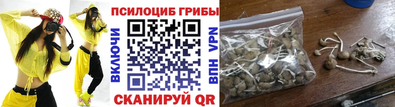 где найти наркотики  Оха  Галлюциногенные грибы прущие грибы 